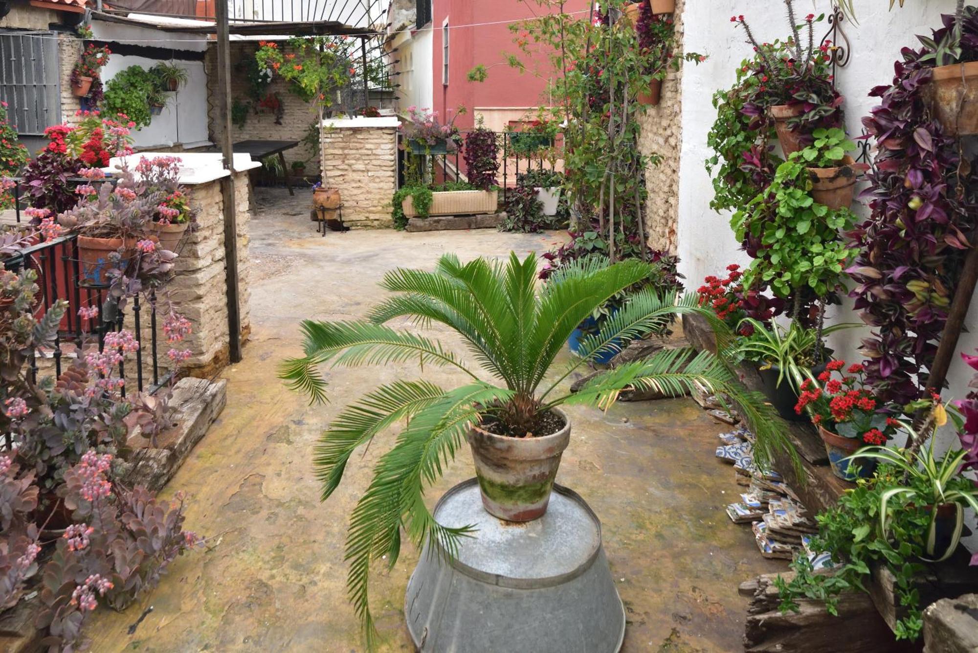 Casa Tenorio Barrio De Santa Cruz セビリア エクステリア 写真