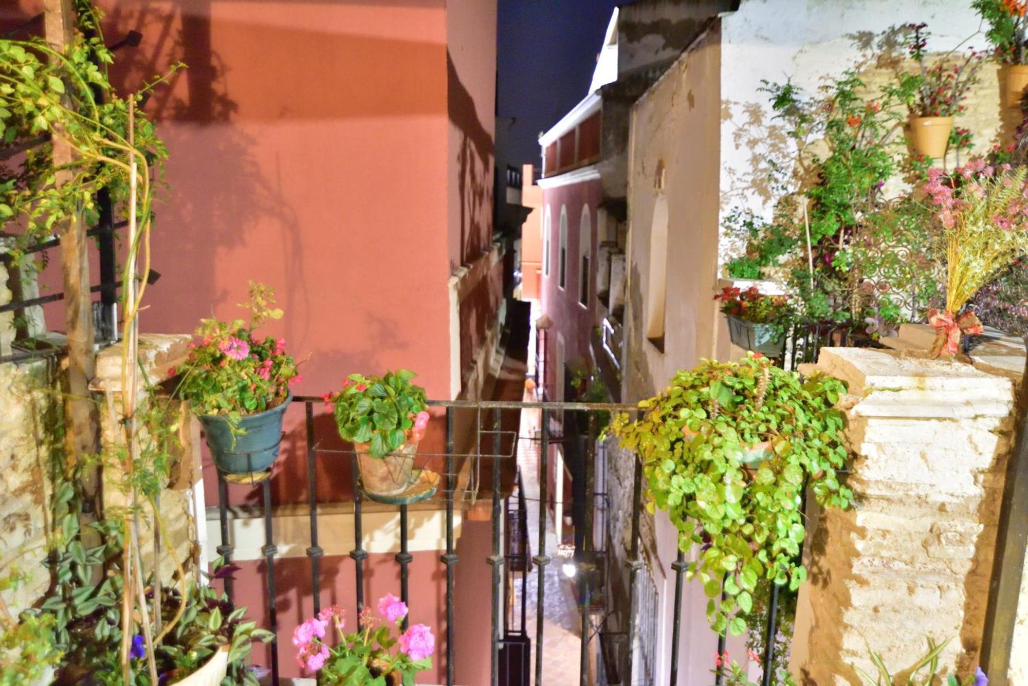 Casa Tenorio Barrio De Santa Cruz セビリア エクステリア 写真